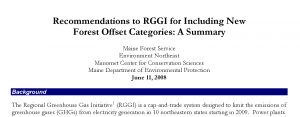 recommendations-to-rggi-0611082 crop